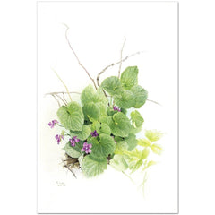 Giclée on Paper