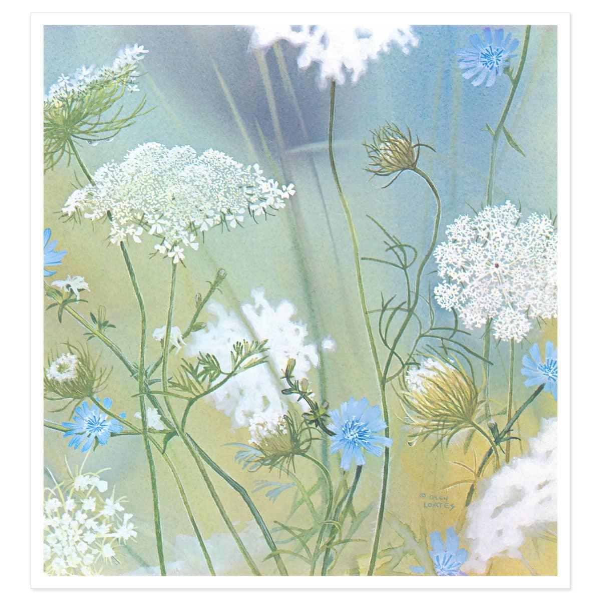 Queen Annes Lace - Art Print | Artwork by Glen Loates