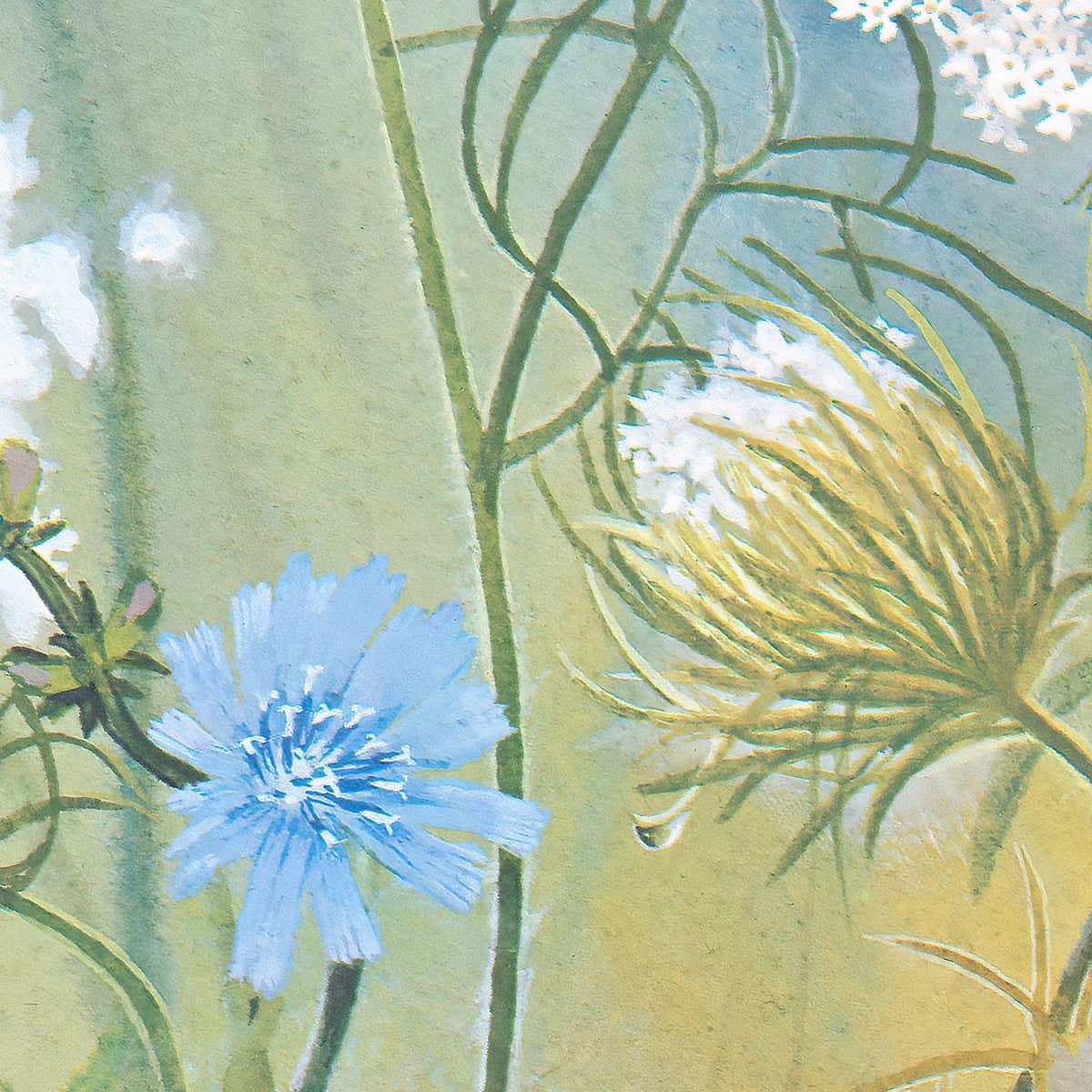 Queen Annes Lace - Canvas Print | Artwork by Glen Loates