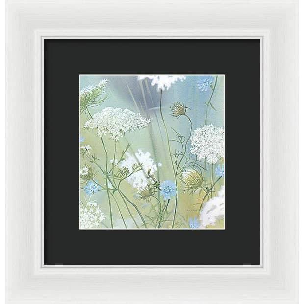 Queen Annes Lace - Framed Print | Artwork by Glen Loates