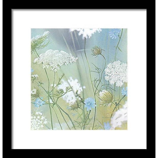 Queen Annes Lace - Framed Print | Artwork by Glen Loates