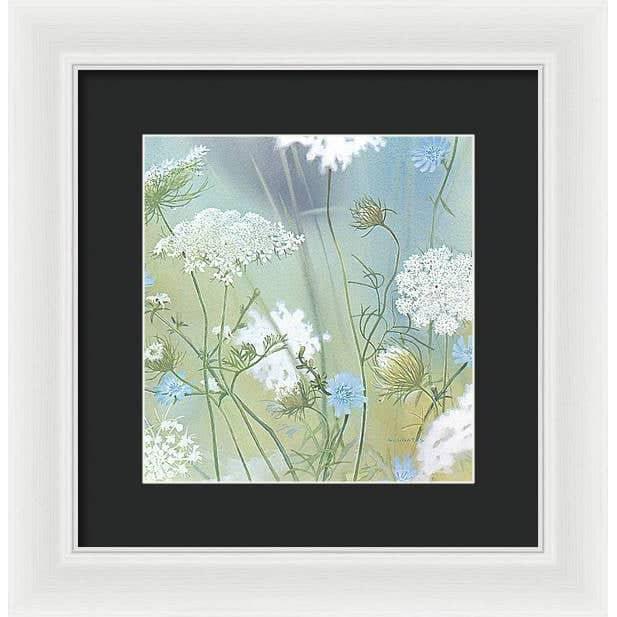 Queen Annes Lace - Framed Print | Artwork by Glen Loates