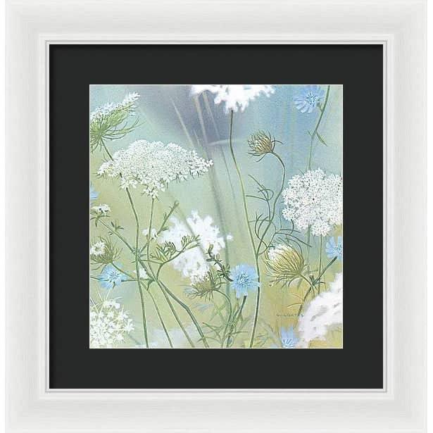 Queen Annes Lace - Framed Print | Artwork by Glen Loates