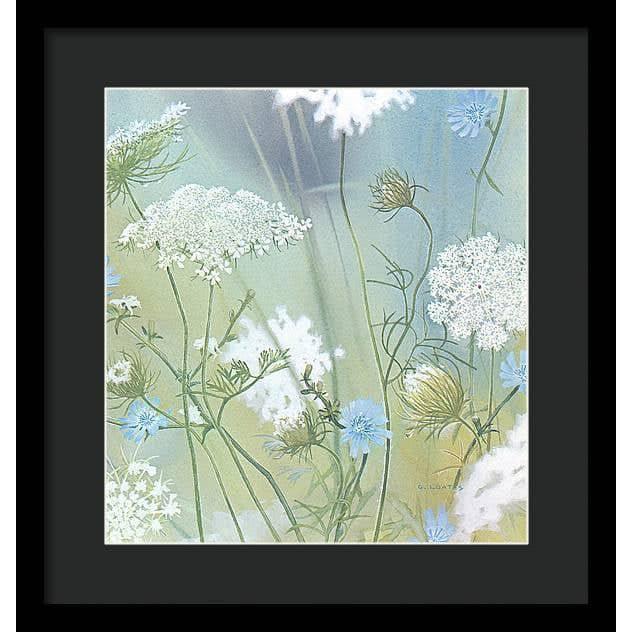 Queen Annes Lace - Framed Print | Artwork by Glen Loates