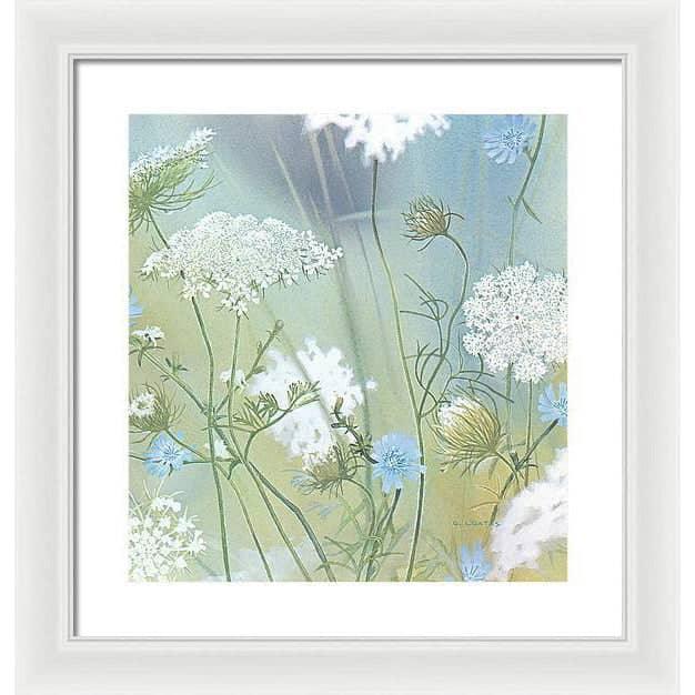 Queen Annes Lace - Framed Print | Artwork by Glen Loates