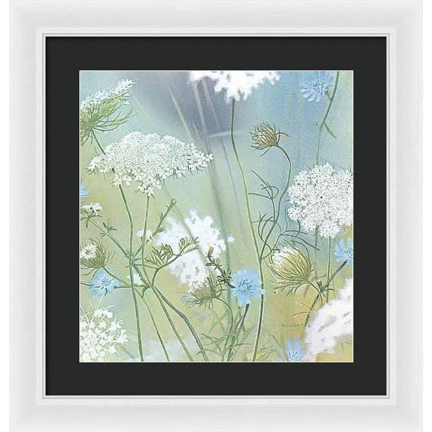 Queen Annes Lace - Framed Print | Artwork by Glen Loates