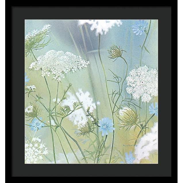 Queen Annes Lace - Framed Print | Artwork by Glen Loates