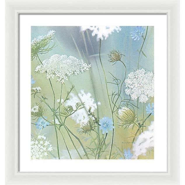 Queen Annes Lace - Framed Print | Artwork by Glen Loates