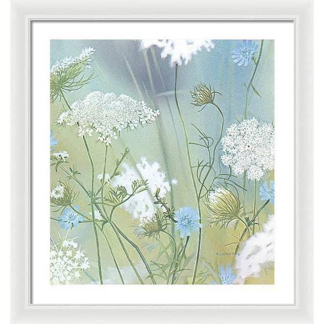 Queen Annes Lace - Framed Print | Artwork by Glen Loates