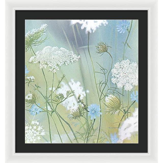 Queen Annes Lace - Framed Print | Artwork by Glen Loates