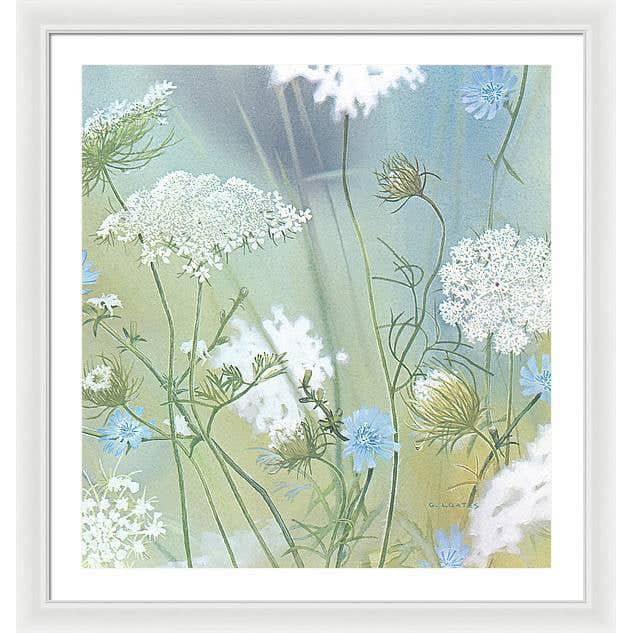 Queen Annes Lace - Framed Print | Artwork by Glen Loates
