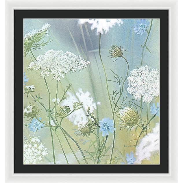 Queen Annes Lace - Framed Print | Artwork by Glen Loates