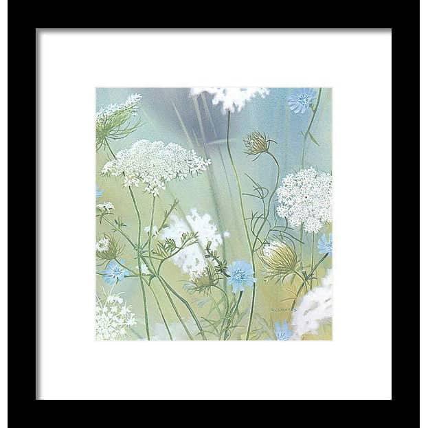 Queen Annes Lace - Framed Print | Artwork by Glen Loates