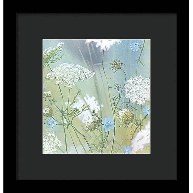 Queen Annes Lace - Framed Print | Artwork by Glen Loates