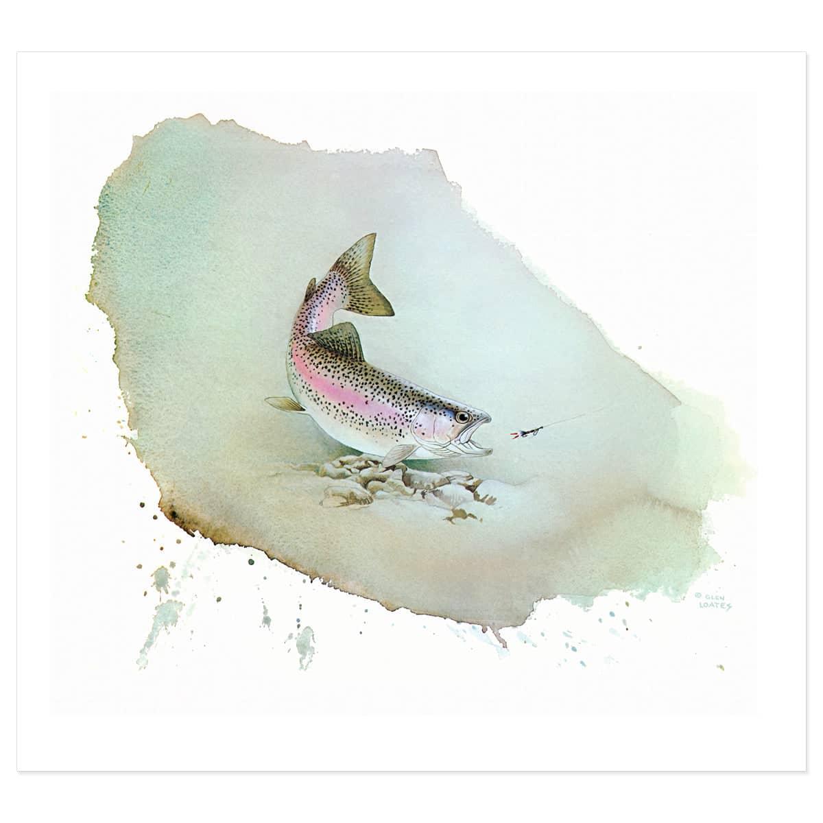 Rainbow Trout - Art Print | Artwork by Glen Loates
