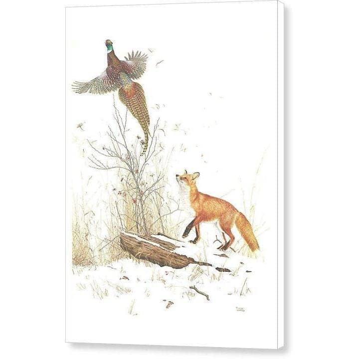 Red Fox and Ring-necked Pheasant - Canvas Print | Artwork by Glen Loates