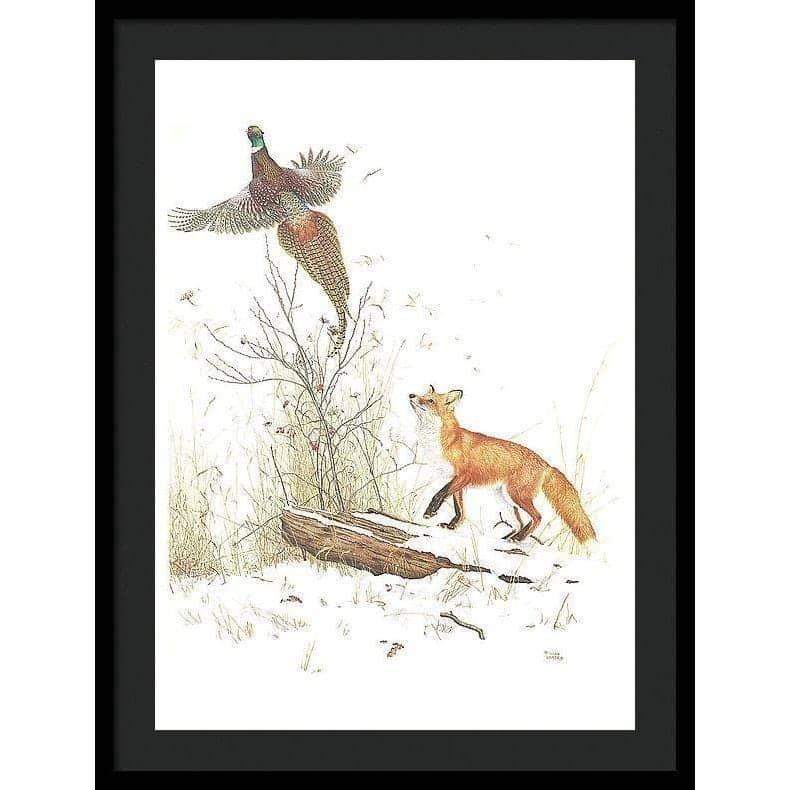 Red Fox and Ring-necked Pheasant - Framed Print | Artwork by Glen Loates