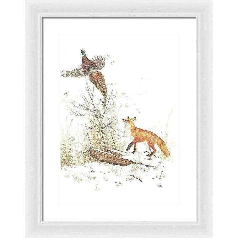 Red Fox and Ring-necked Pheasant - Framed Print | Artwork by Glen Loates