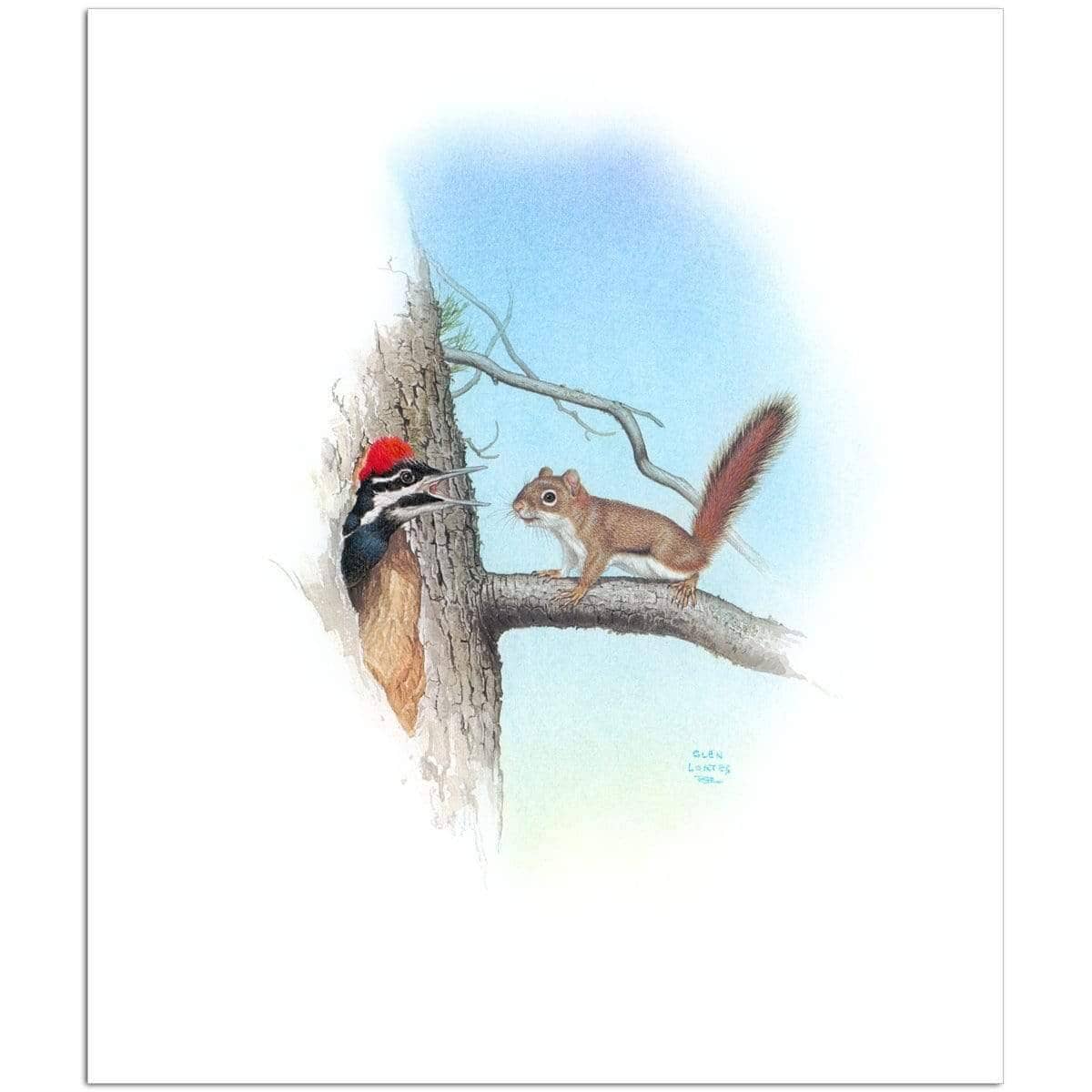 Red Squirrel and Pileated Woodpecker - Art Print | Artwork by Glen Loates