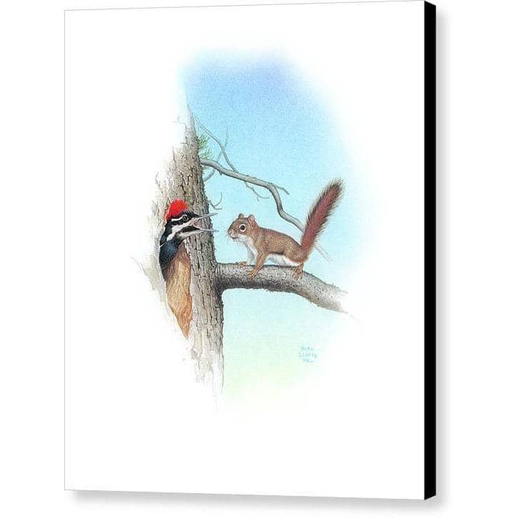 Red Squirrel and Pileated Woodpecker - Canvas Print | Artwork by Glen Loates