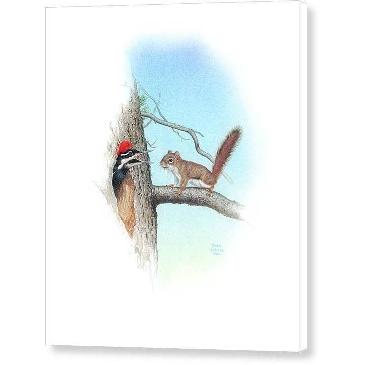 Red Squirrel and Pileated Woodpecker - Canvas Print | Artwork by Glen Loates