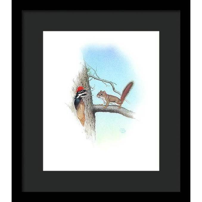 Red Squirrel and Pileated Woodpecker - Framed Print | Artwork by Glen Loates