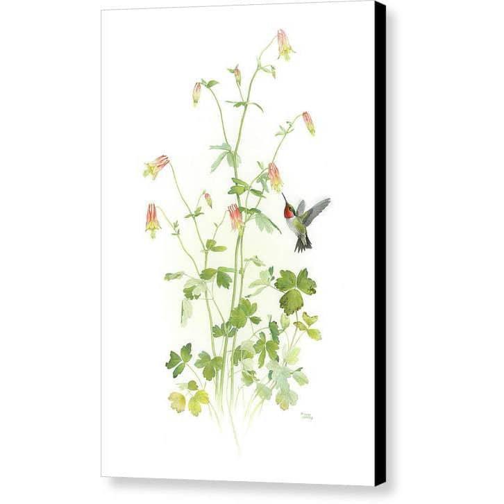 Ruby-throated Hummingbird with Red Columbine - Canvas Print | Artwork by Glen Loates