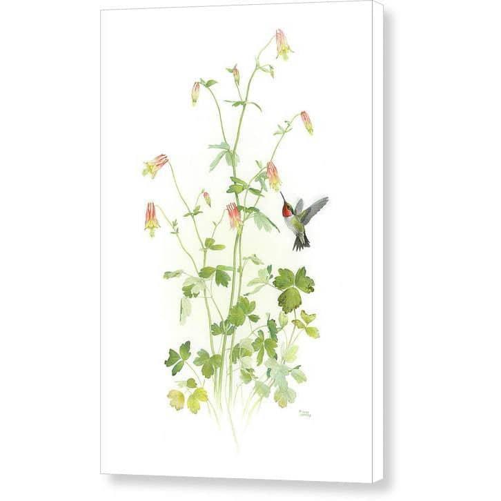 Ruby-throated Hummingbird with Red Columbine - Canvas Print | Artwork by Glen Loates