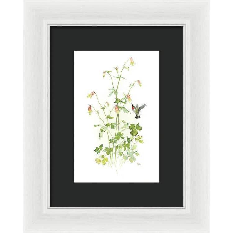 Ruby-throated Hummingbird with Red Columbine - Framed Print | Artwork by Glen Loates