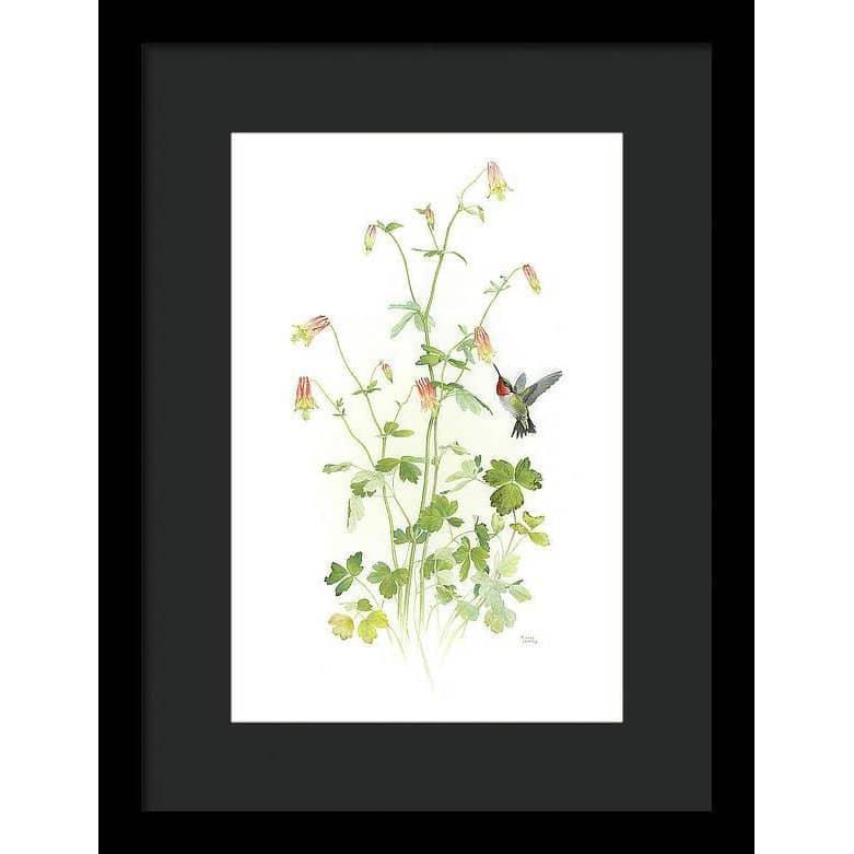 Ruby-throated Hummingbird with Red Columbine - Framed Print | Artwork by Glen Loates