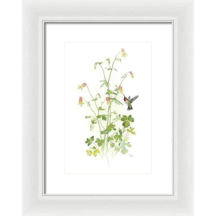 Ruby-throated Hummingbird with Red Columbine - Framed Print | Artwork by Glen Loates