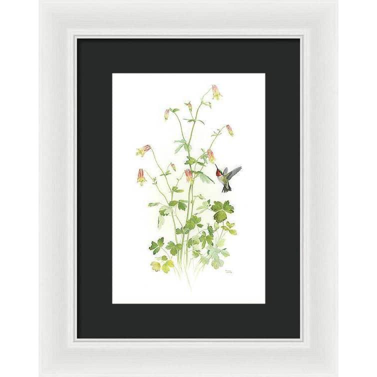 Ruby-throated Hummingbird with Red Columbine - Framed Print | Artwork by Glen Loates