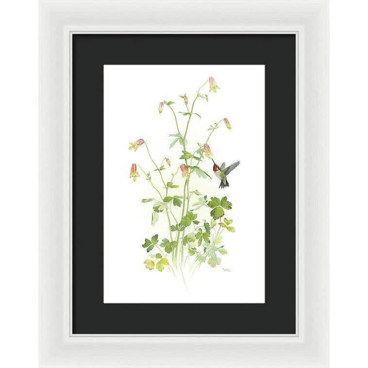 Ruby-throated Hummingbird with Red Columbine - Framed Print | Artwork by Glen Loates