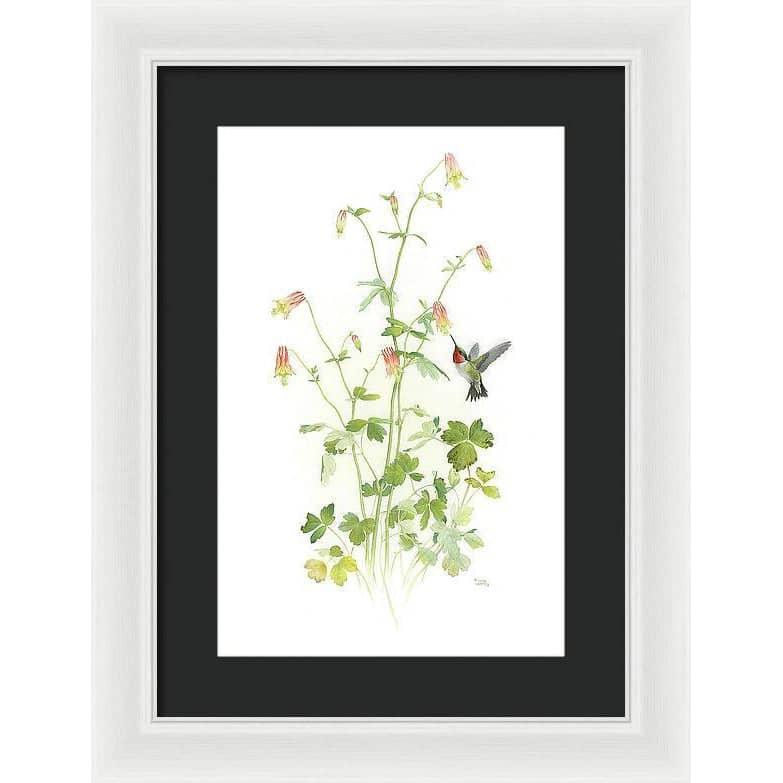 Ruby-throated Hummingbird with Red Columbine - Framed Print | Artwork by Glen Loates