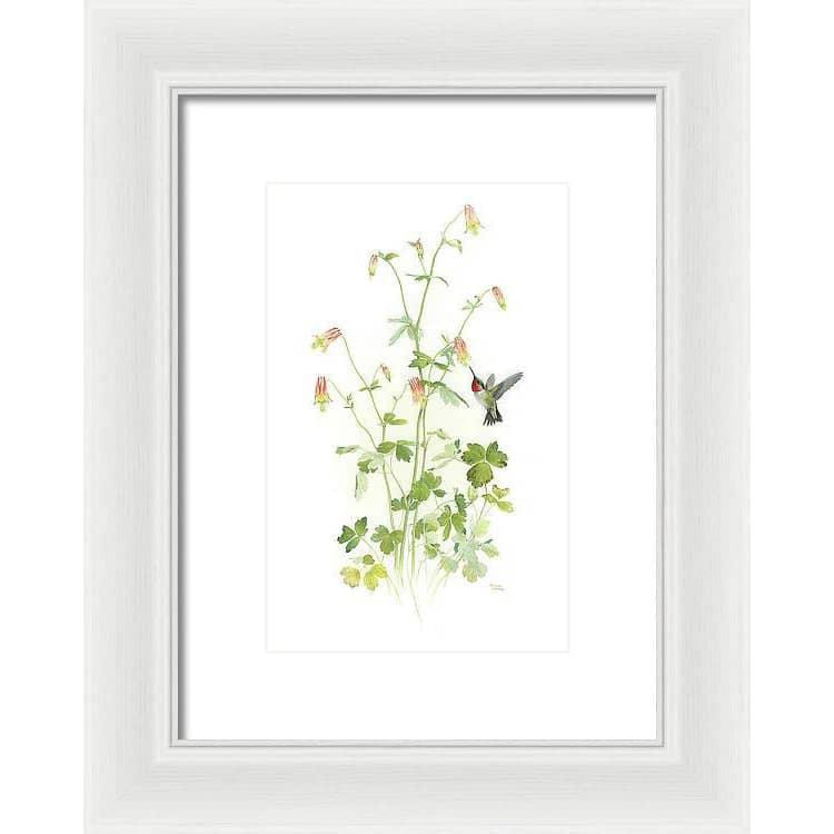 Ruby-throated Hummingbird with Red Columbine - Framed Print | Artwork by Glen Loates