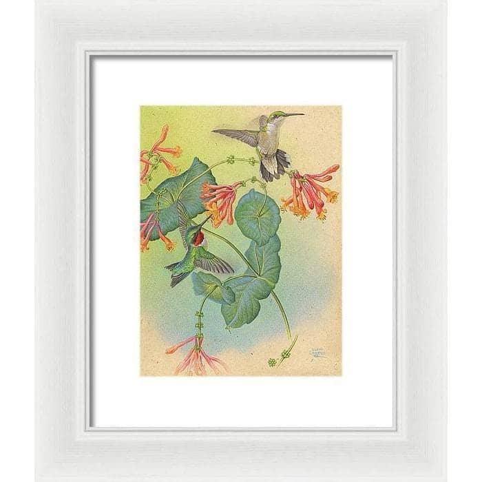 Ruby-throated Hummingbirds with Trumpet Flower - Framed Print | Artwork by Glen Loates