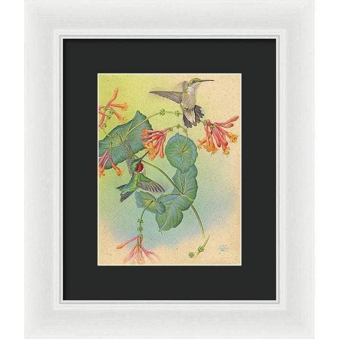 Ruby-throated Hummingbirds with Trumpet Flower - Framed Print | Artwork by Glen Loates