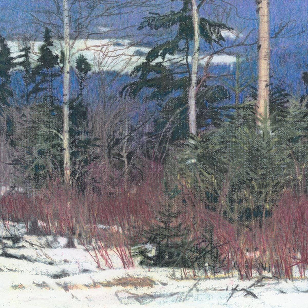 Saddleback - Canvas Print | Artwork by Glen Loates