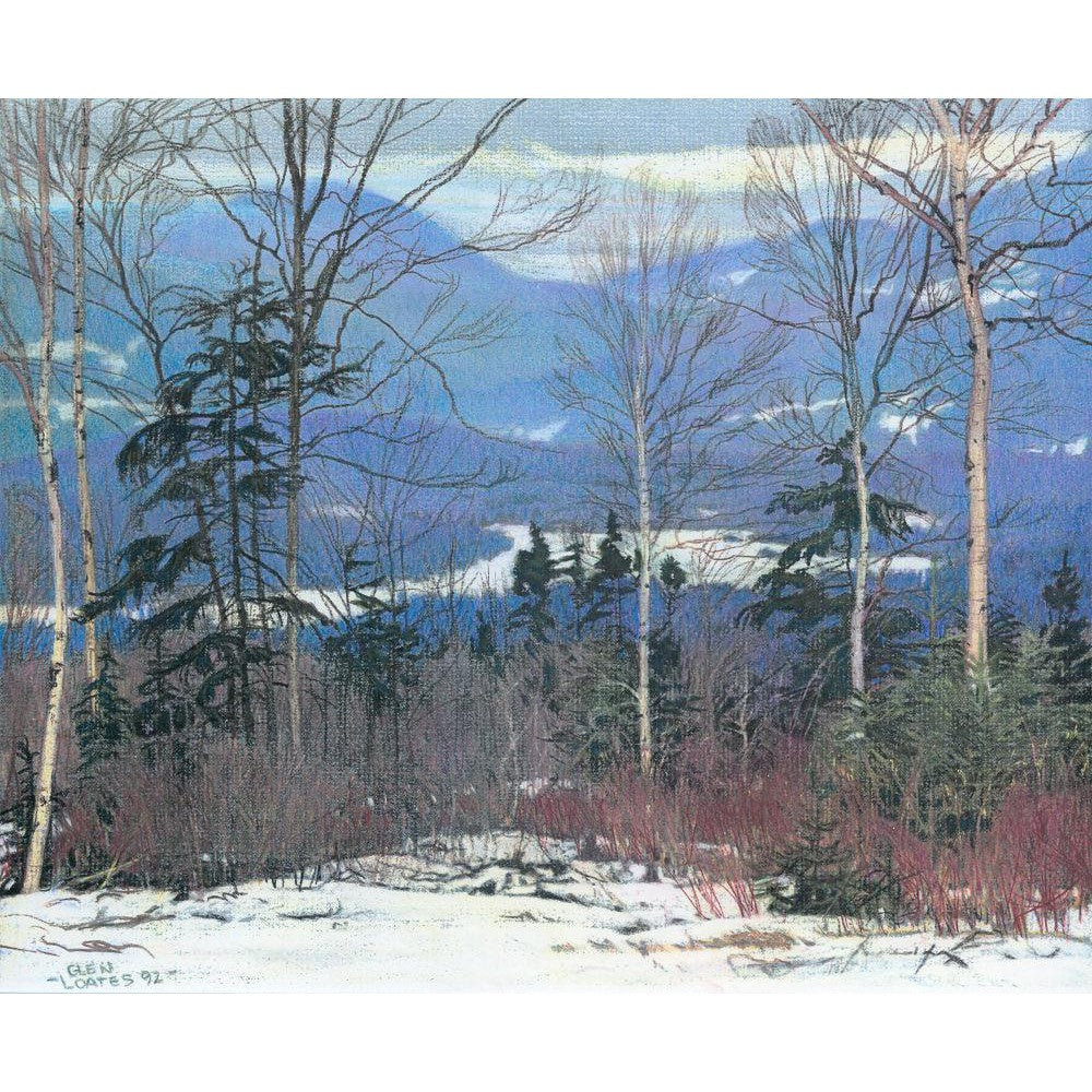 Saddleback - Canvas Print | Artwork by Glen Loates