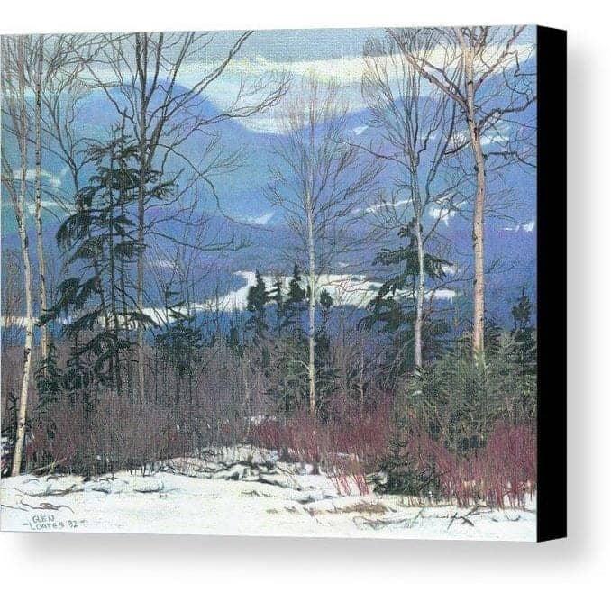 Saddleback - Canvas Print | Artwork by Glen Loates