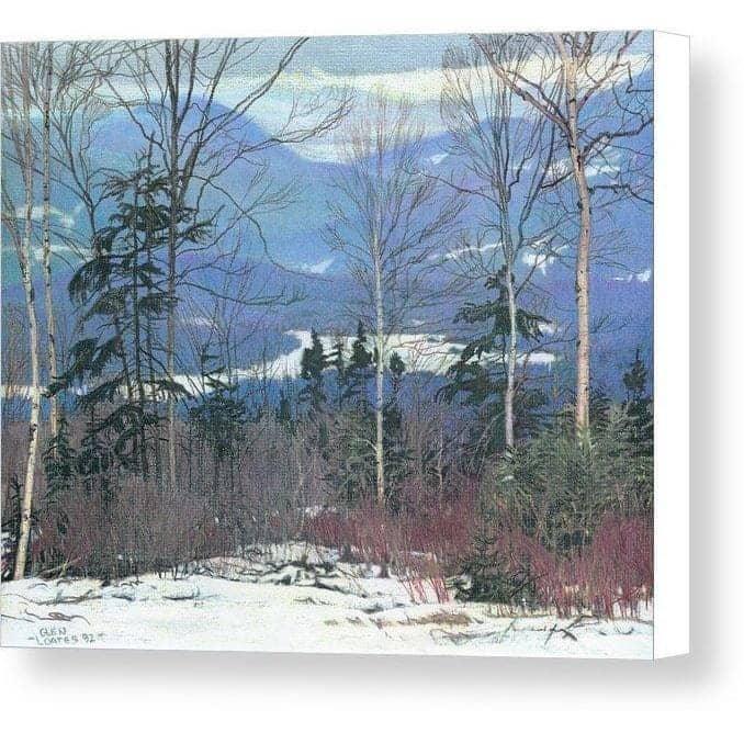 Saddleback - Canvas Print | Artwork by Glen Loates