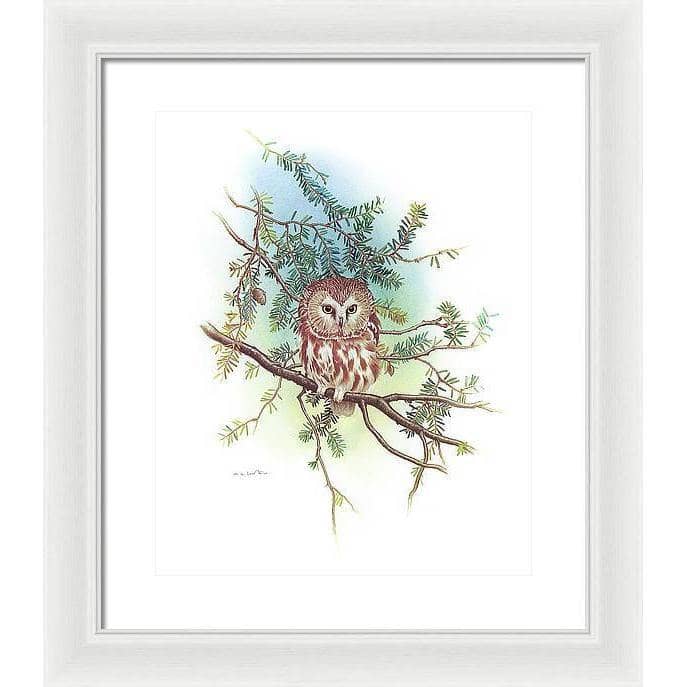 Saw-Whet Owl - Framed Print | Artwork by Glen Loates