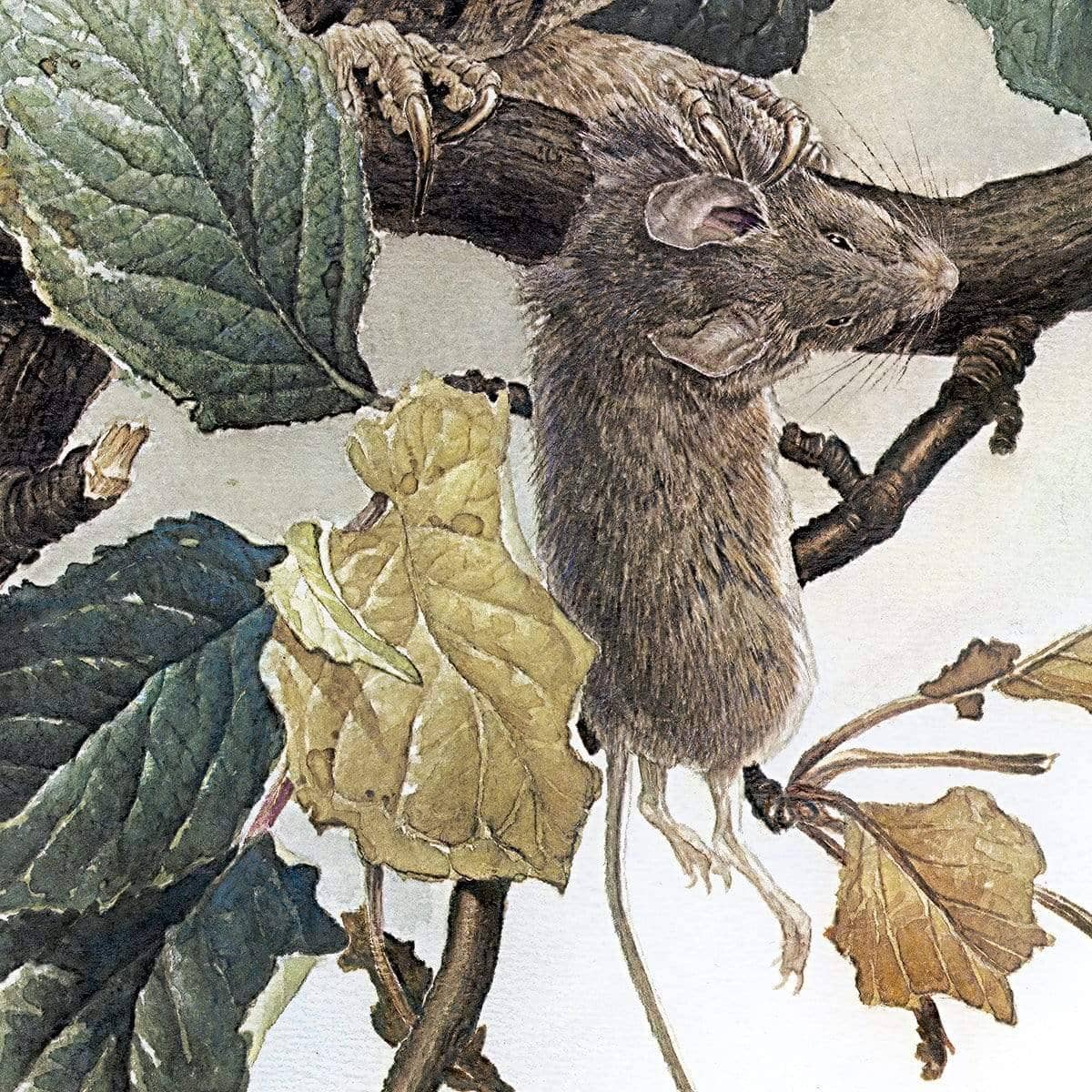 Screech Owl with Field Mouse - Art Print | Artwork by Glen Loates