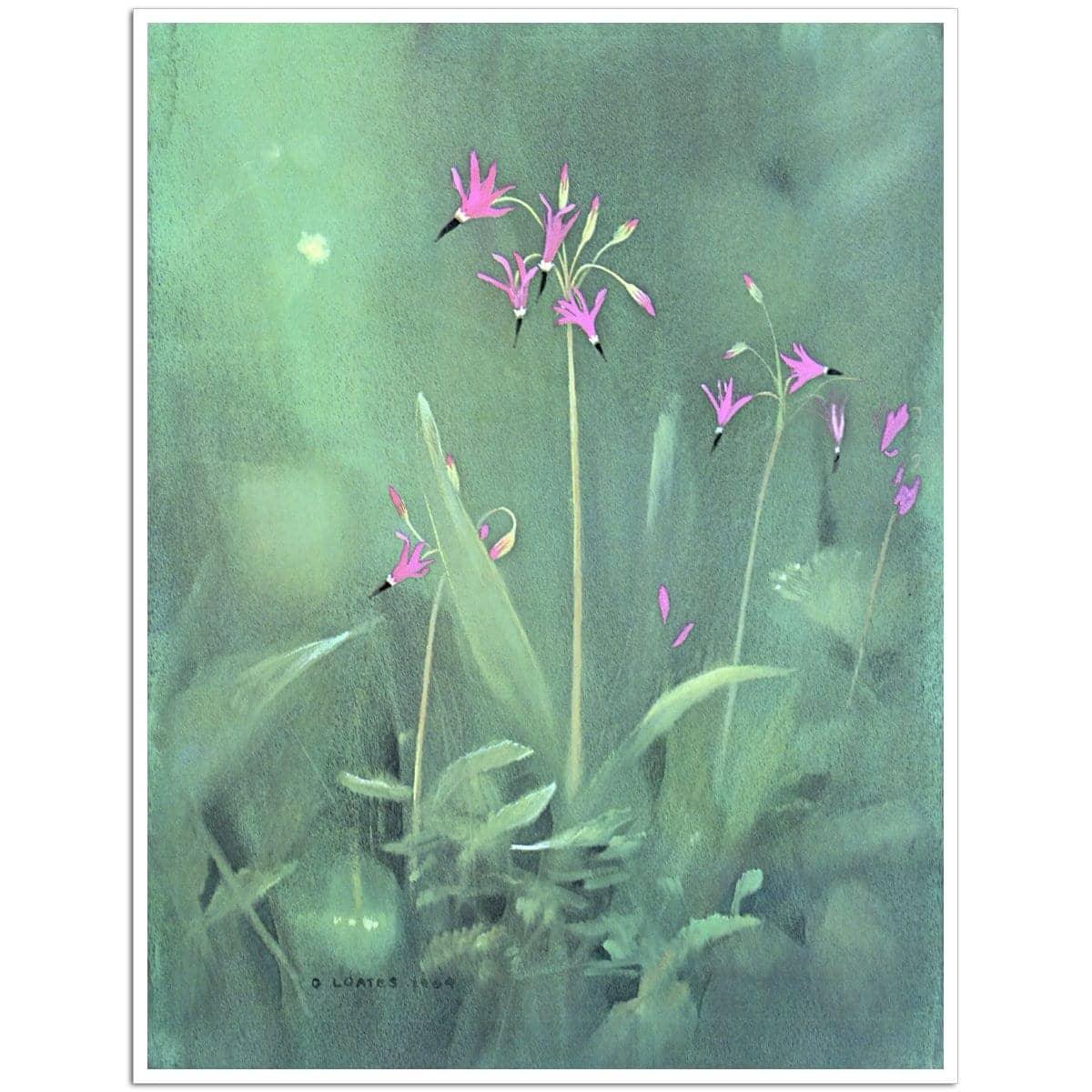 Shooting Stars - Art Print | Artwork by Glen Loates