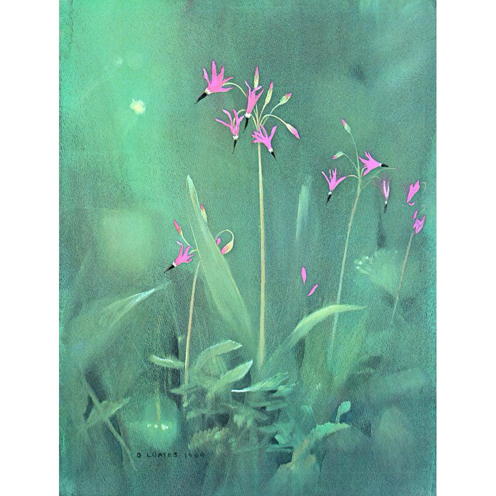 Shooting Stars - Canvas Print | Artwork by Glen Loates