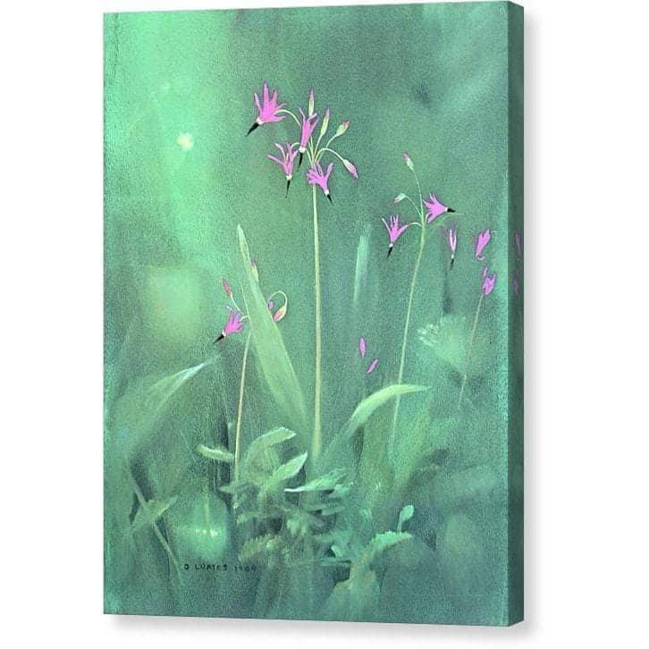 Shooting Stars - Canvas Print | Artwork by Glen Loates