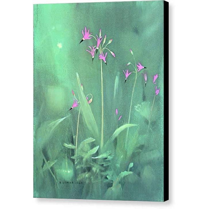 Shooting Stars - Canvas Print | Artwork by Glen Loates