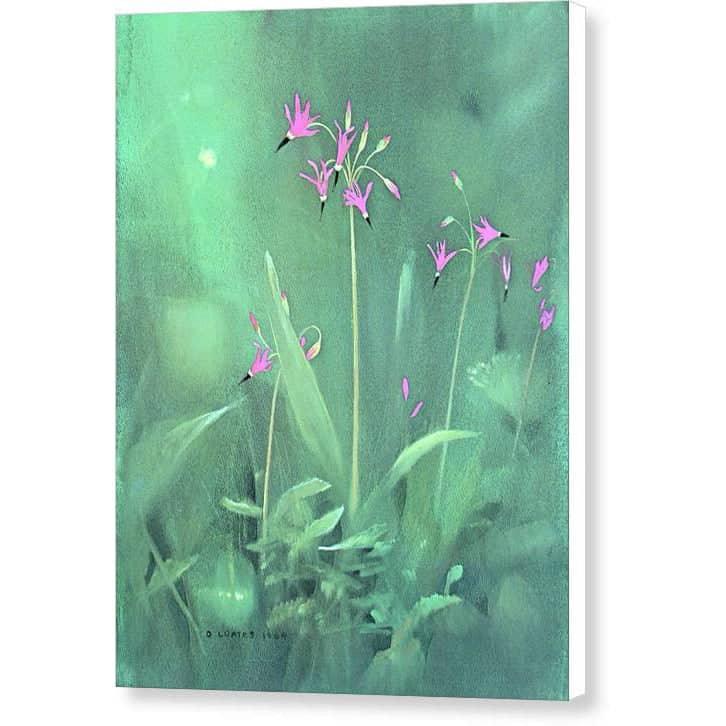 Shooting Stars - Canvas Print | Artwork by Glen Loates