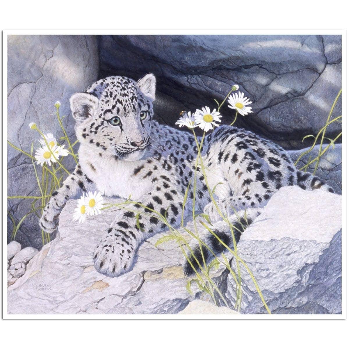 Snow Leopard Cub - Art Print | Artwork by Glen Loates