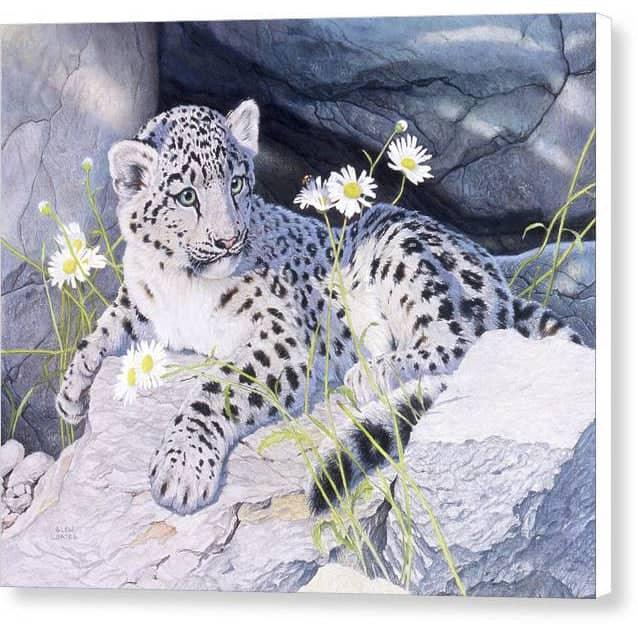 Snow Leopard Cub - Canvas Print | Artwork by Glen Loates